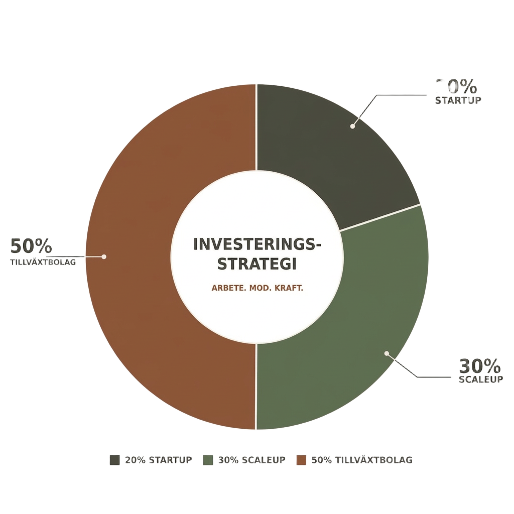 Investeringsstrategi — fördelning startup, scaleup, tillväxtbolag